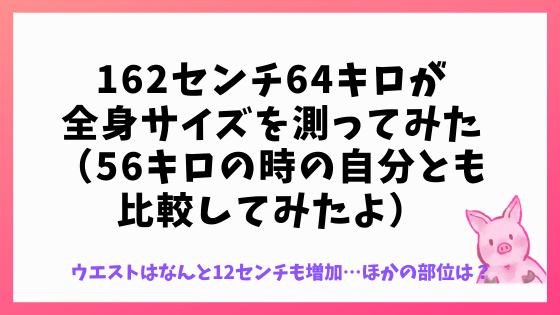 162センチ64キロの全身サイズ公開 56キロ時とも比較してみた りんめの備忘録